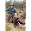 Image 2 : Wingshooting, Small game & Boar hunting Seven Days Argentina