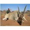 Image 2 : Seven day South African hunt for two hunters