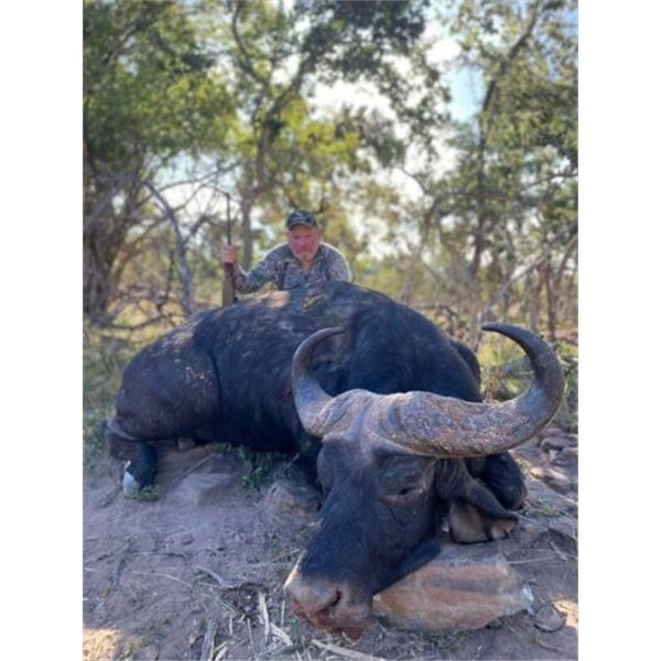 Seven Day Safari for Cape Buffalo for One Hunter