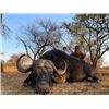Image 3 : Seven Day Safari for Cape Buffalo for One Hunter