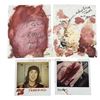 Image 1 : Freddy vs. Jason (2003) - Blood Color Paint Continuity Sheets with Annotations and Polaroid's