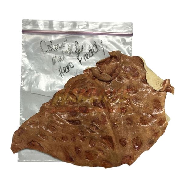 Freddy vs. Jason (2003) - Freddy Appliance Color Match Head and Ear Paint Master