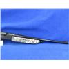 Image 6 : Grizzly BB Pump Up Rifle - Camo Stock and Forearm