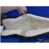 Image 2 : Soft Rifle Case - 49" x 11"