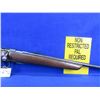 Image 7 : Non-Restricted - Winchester Model 69A in 22 S, L, LR