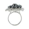 Image 3 : 9.57 ctw Fancy Black and 0.78 ctw White Diamond 14K White Gold Ring (10.35 ctw D