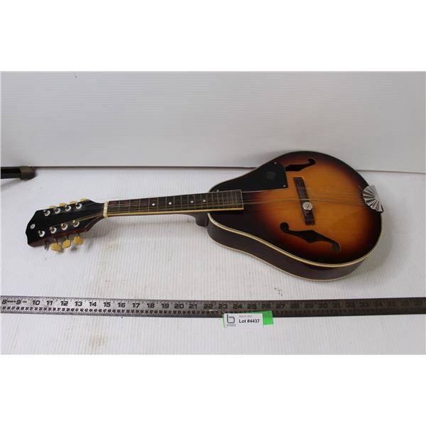 8 String Mandolin - Bodnarus Auctioneering