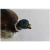Image 2 : Pheasant Decoration