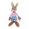 Image 1 : A Br'er Rabbit Splash Mountain Souvenir Plush.