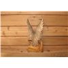 Image 2 : Carved Wood Eagle
