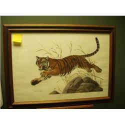 Bengal Tiger
