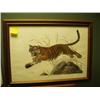 Image 1 : Bengal Tiger