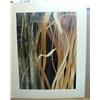 Image 1 : Pasta