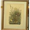 Image 1 : Meadowlark