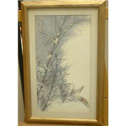 Winter Scene