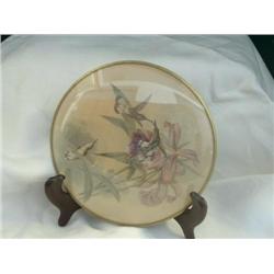 Hummingbirds