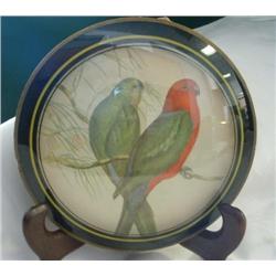 Two Parrots