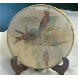 Three Hummingbirds