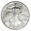 Image 4 : 2006-W 20th Ann. Eagle Gold & Silver Set