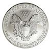 Image 5 : 2006-W 20th Ann. Eagle Gold & Silver Set