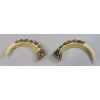 Image 2 : WILD BOAR TUSKS ORNATE TRIM
