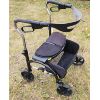 Image 1 : EXPRESSO REGULAR WIDE WALKER