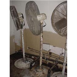 Pedestal Fan
