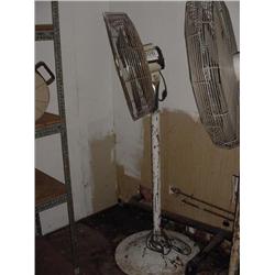 Pedestal Fan