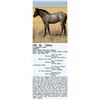 Image 1 : OUT OF SALE