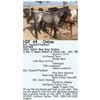Image 1 : RCL FlameOfTheWest