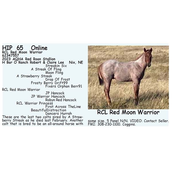 RCL Red Moon Warrior