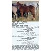 Image 1 : RCL Berry Moonshine