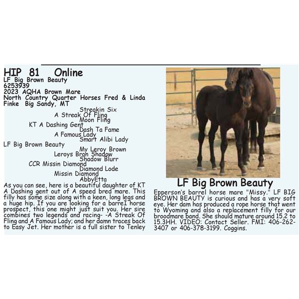 LF Big Brown Beauty