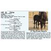 Image 1 : LF Big Brown Beauty