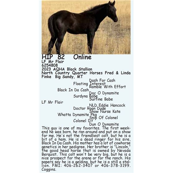 LF Mr Flair
