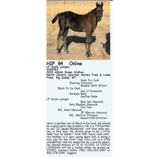 LF Doyle Lonigan