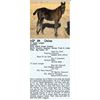 Image 1 : LF Doyle Lonigan