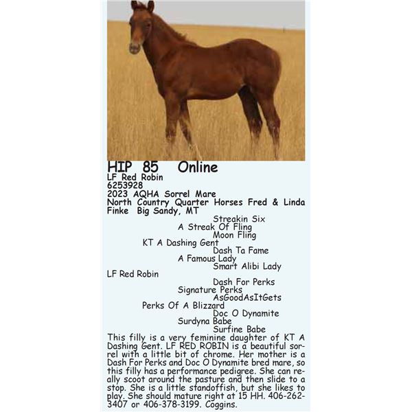 LF Red Robin