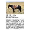 Image 1 : Xena