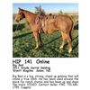 Image 1 : Big Red