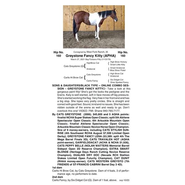 Greystone Fancy Kitty (APHA)