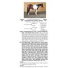 Image 1 : Greystone Fancy Kitty (APHA)