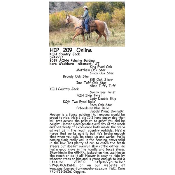 KQH Country Jack