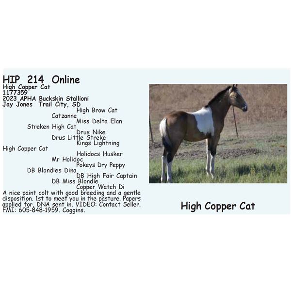 High Copper Cat