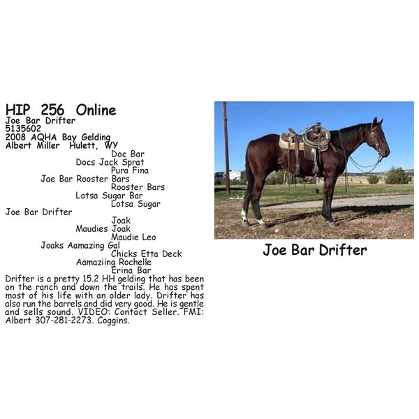 Joe Bar Drifter