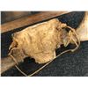 Image 2 : Deer antlers - approx 28" width x 19" L