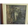 Image 2 : ROBERT BATEMAN "TIGER AT DAWN" FRAMED PRINT (17 1/4" X 17 1/4" FRAMED)