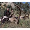 Image 3 : SPAIN: 4-DAY/3 NIGHT BECEITE IBEX RIFLE HUNT FOR 1 HUNTER - $7,910 - EXHIBITOR
