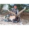Image 4 : SPAIN: 4-DAY/3 NIGHT BECEITE IBEX RIFLE HUNT FOR 1 HUNTER - $7,910 - EXHIBITOR