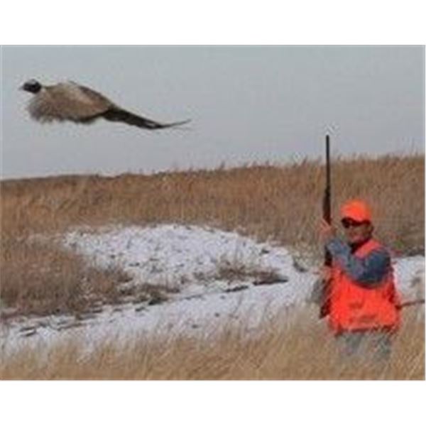 SOUTH DAKOTA PHEASANT HUNT - $4,500